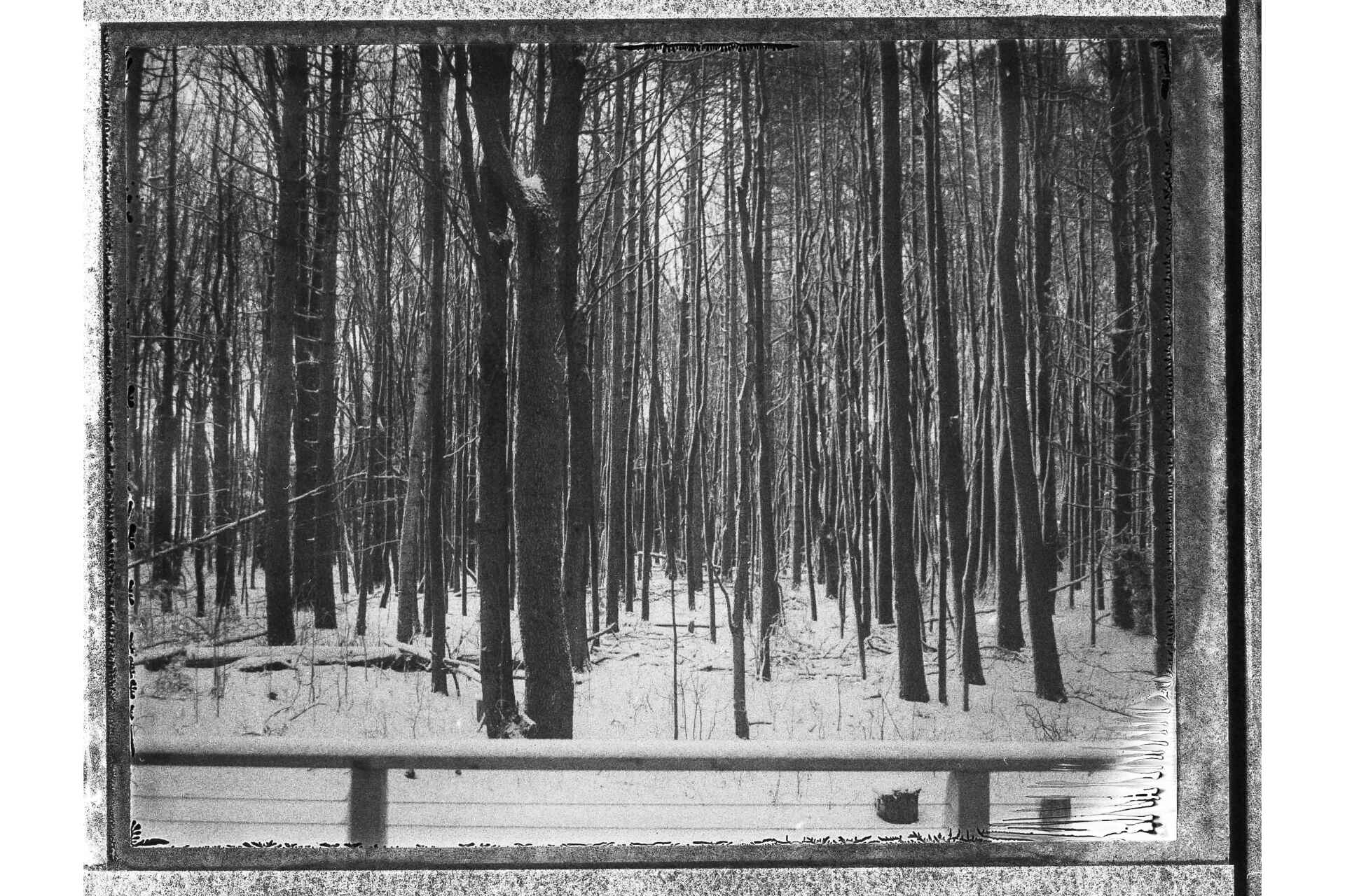 Woods shot in black and white FB-3000b film